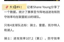 开云体育APP下载-湖人队内外兼修，全队卫冕冠军热望加大