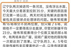 开云体育入口-辽宁队球员团结一致，荣耀凯旋的简单介绍