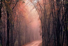 开云体育在线-中国女足在比赛中彰显了中国体育的潜力