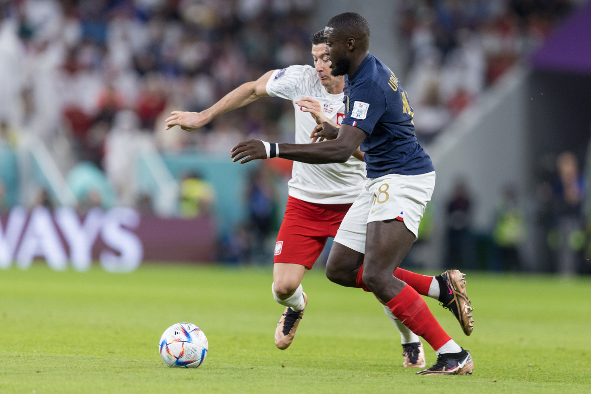 波兰队横扫法国队,波尔点燃赛场 波兰队横扫法国队,波尔点燃赛场